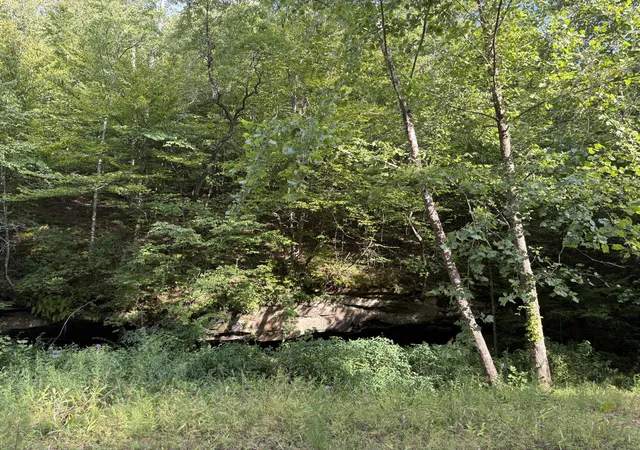 Photo 4 of Land for sale at 0 Spaws Crk Rd, West Liberty, KY 41472 | MLS# 26020315 | Listing updated on 2026-07-30