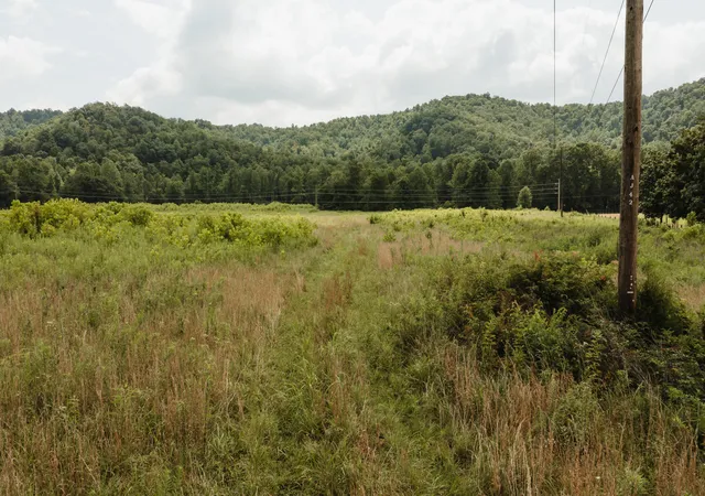 Photo 2 of Land for sale at 2974 E Fork Rd, Means, KY 40346 | MLS# 26020579 | Listing updated on 2026-07-31