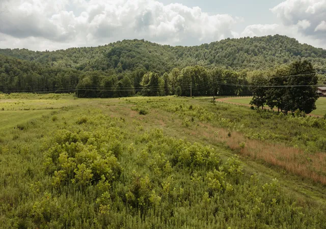 Photo 3 of Land for sale at 2974 E Fork Rd, Means, KY 40346 | MLS# 26020579 | Listing updated on 2026-07-31