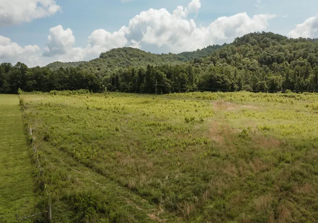 Photo 4 of Land for sale at 2974 E Fork Rd, Means, KY 40346 | MLS# 26020579 | Listing updated on 2026-07-31