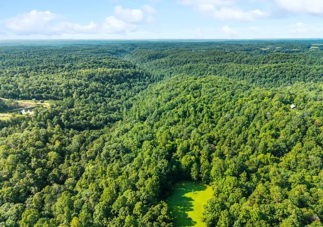 Photo 3 of Land for sale at 0 Gabbard Dr, Zoe, KY 41397 | MLS# 26021910 | Listing updated on 2026-08-13