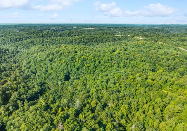 Photo 4 of Land for sale at 0 Gabbard Dr, Zoe, KY 41397 | MLS# 26021910 | Listing updated on 2026-08-13