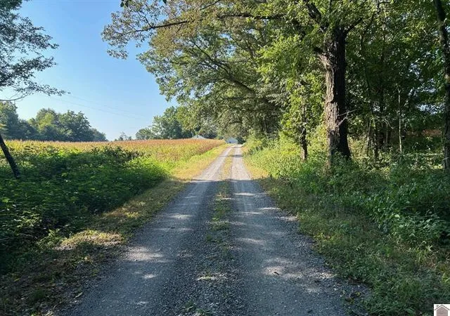 Photo 1 of Land for sale at 0 Arnett Ln, Murray, KY 42071 | MLS# 26020327 | Listing updated on 2026-07-30