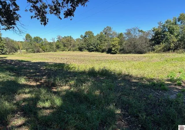 Photo 2 of Land for sale at 0 Arnett Ln, Murray, KY 42071 | MLS# 26020327 | Listing updated on 2026-07-30