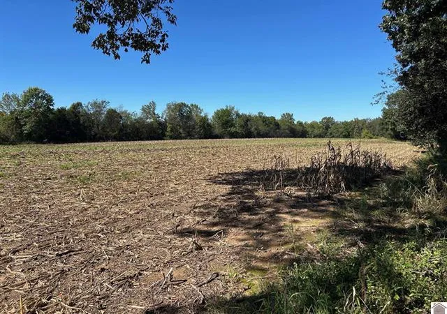 Photo 3 of House for sale at 0 Arnett Ln, Murray, KY 42071 | MLS# 26020327 | Listing updated on 2026-07-30