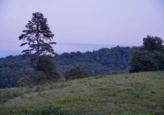 Photo 1 of Land for sale at 0000 Haynes Cemetery Rd, Somerset, KY 42501 | MLS# 26020330 | Listing updated on 2026-08-04