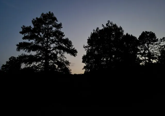 Photo 3 of Land for sale at 0000 Haynes Cemetery Rd, Somerset, KY 42501 | MLS# 26020330 | Listing updated on 2026-08-04