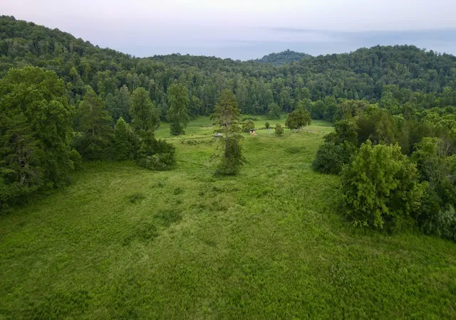 Photo 3 of Land for sale at 0000 Haynes Cemetery Rd, Somerset, KY 42501 | MLS# 26020330 | Listing updated on 2026-08-04