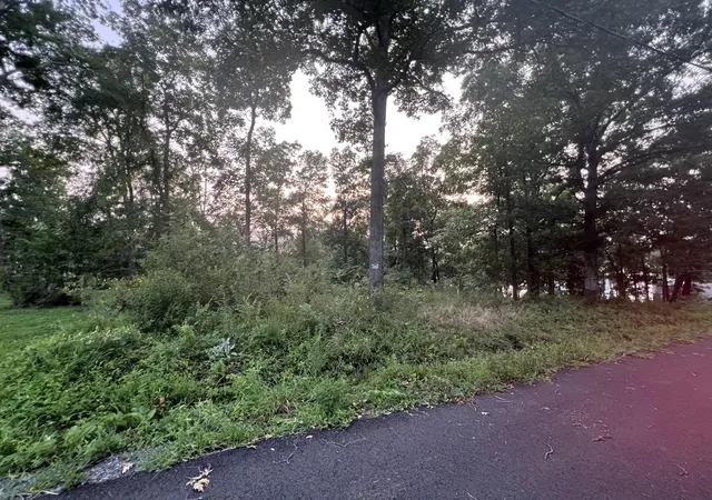 Photo 2 of Land for sale at 150 Piedmont Rd, Gilbertsville, KY 42044 | MLS# 26020401 | Listing updated on 2026-08-03