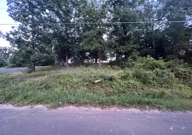 Photo 3 of Land for sale at 150 Piedmont Rd, Gilbertsville, KY 42044 | MLS# 26020401 | Listing updated on 2026-08-03