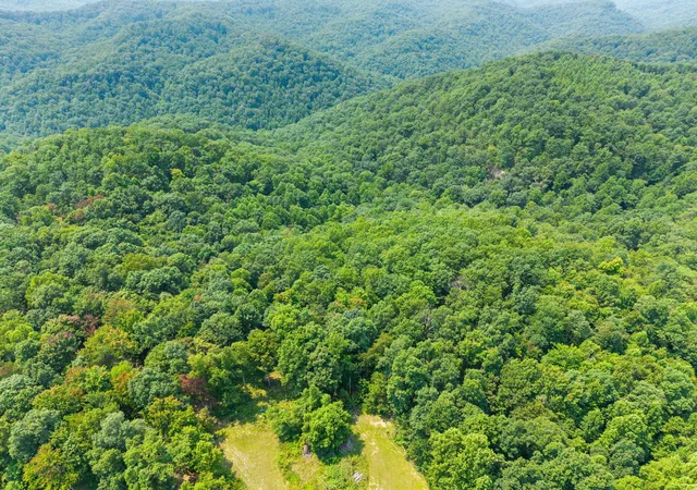 Photo 3 of Land for sale at Lot 85 31 Pinecrest Dr, Frenchburg, KY 40322 | MLS# 26021161 | Listing updated on 2026-08-06