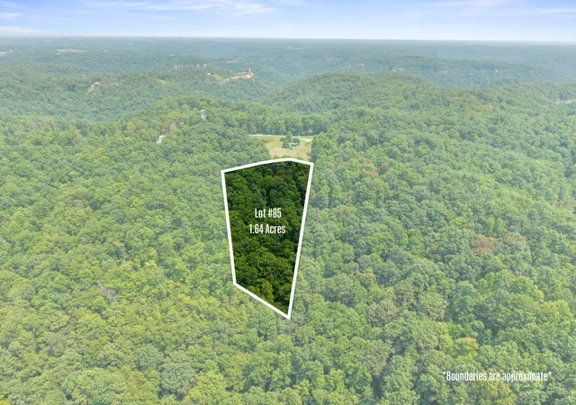 Photo 5 of Land for sale at Lot 85 31 Pinecrest Dr, Frenchburg, KY 40322 | MLS# 26021161 | Listing updated on 2026-08-06