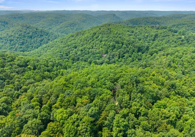 Photo 1 of Land for sale at Lot 86 65 Pinecrest Dr, Frenchburg, KY 40322 | MLS# 26021162 | Listing updated on 2026-08-06