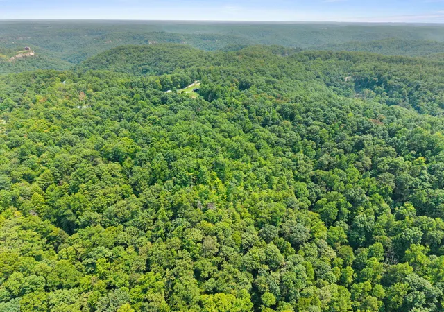 Photo 3 of Land for sale at Lot 86 65 Pinecrest Dr, Frenchburg, KY 40322 | MLS# 26021162 | Listing updated on 2026-08-06