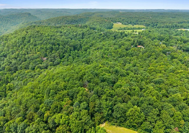 Photo 3 of Land for sale at Lot 87 64 Pinecrest Dr, Frenchburg, KY 40322 | MLS# 26021376 | Listing updated on 2026-08-07