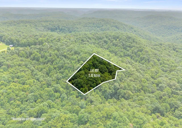 Photo 5 of Land for sale at Lot 87 64 Pinecrest Dr, Frenchburg, KY 40322 | MLS# 26021376 | Listing updated on 2026-08-07