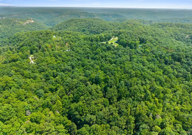Photo 2 of Land for sale at Lot 88 30 Pinecrest Dr, Frenchburg, KY 40322 | MLS# 26021375 | Listing updated on 2026-08-07