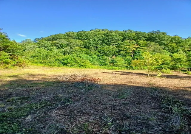 Photo 1 of Sale Pending at 0 Bull Holw Rd, Manchester, KY 40962 | MLS# 26020560 | Listing updated on 2026-09-08