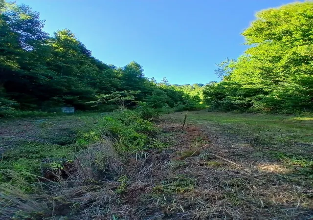 Photo 3 of Sale Pending at 0 Bull Holw Rd, Manchester, KY 40962 | MLS# 26020560 | Listing updated on 2026-09-08