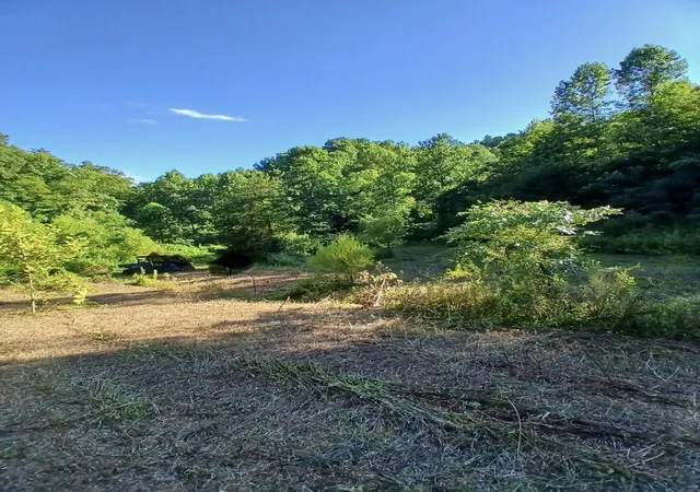 Photo 4 of Sale Pending at 0 Bull Holw Rd, Manchester, KY 40962 | MLS# 26020560 | Listing updated on 2026-09-08