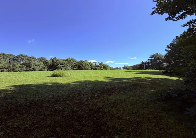 Land for sale at 1305 Hawk Crk Rd, London, KY 40741 | MLS# 26020449