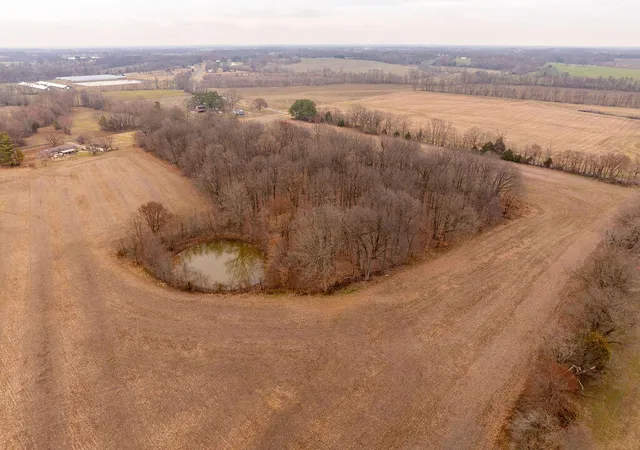 Photo 3 of Land for sale at 00 Wingo Rd And Ky 121 #00, Mayfield, KY 42066 | MLS# 26020456 | Listing updated on 2026-07-31
