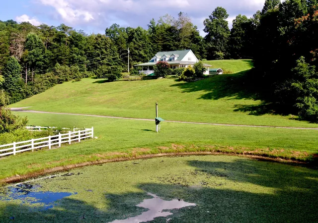 Photo 2 of Single family home for sale at 4213 State Hwy 1344, Calvin, KY 40813 | MLS# 26020546 | Listing updated on 2026-07-31