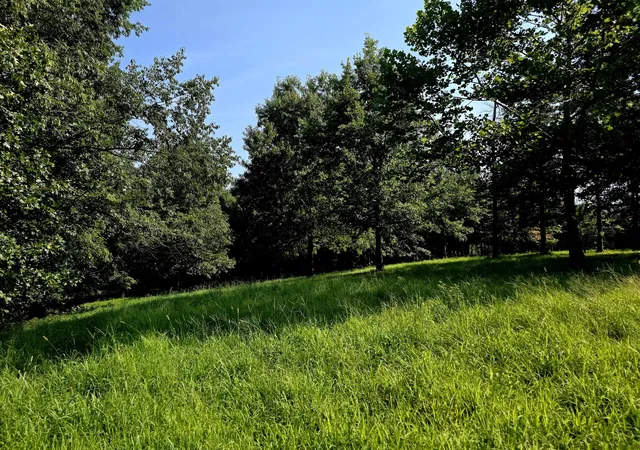 Photo 2 of Land for sale at 0 Crooked Oak Loop, Benton, KY 42025 | MLS# 26020491 | Listing updated on 2026-09-14