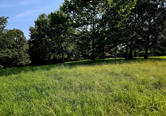 Photo 3 of Land for sale at 0 Crooked Oak Loop, Benton, KY 42025 | MLS# 26020491 | Listing updated on 2026-09-14