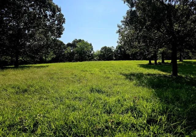 Photo 3 of Land for sale at 811 Crooked Oak Loop, Benton, KY 42025 | MLS# 26020491 | Listing updated on 2026-10-02
