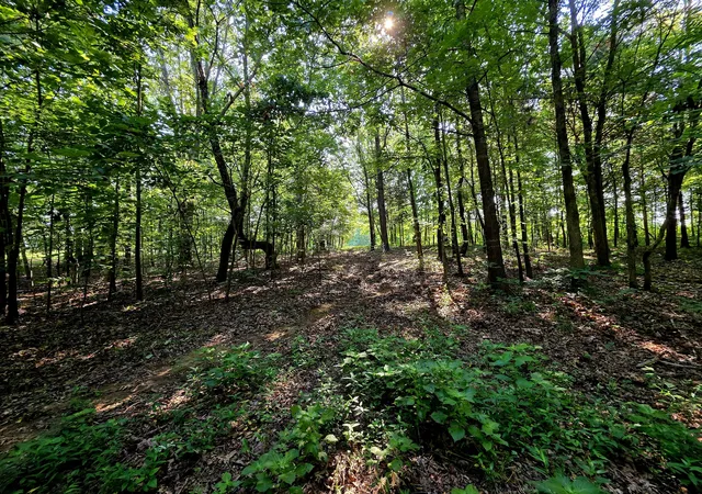Photo 4 of Land for sale at 811 Crooked Oak Loop, Benton, KY 42025 | MLS# 26020491 | Listing updated on 2026-10-02