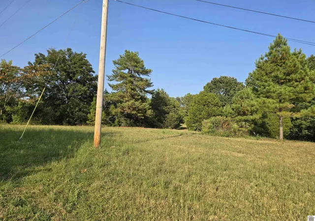 Photo 3 of Land for sale at 709 Hawkeye Rd #338-340, 347-349, Gilbertsville, KY 42044 | MLS# 26020776 | Listing updated on 2026-08-03