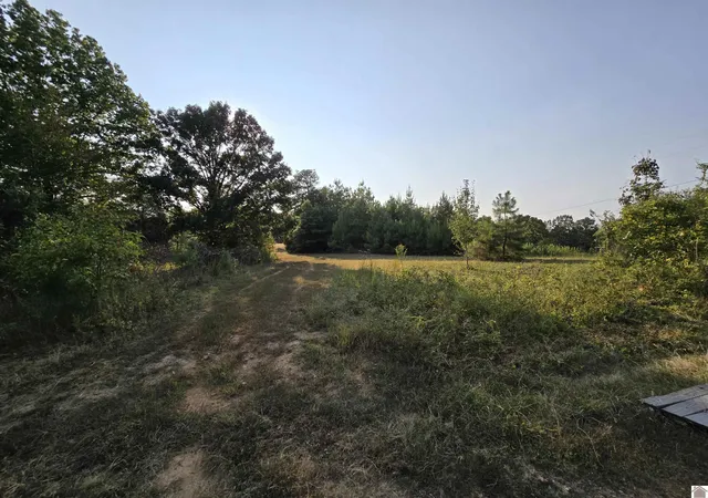 Photo 3 of Land for sale at 709 Hawkeye Rd #338-340, 347-349, Gilbertsville, KY 42044 | MLS# 26020776 | Listing updated on 2026-08-03