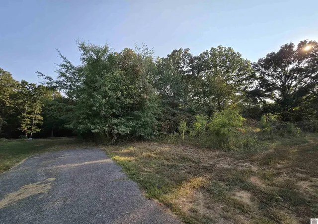 Photo 4 of Land for sale at 709 Hawkeye Rd #338-340, 347-349, Gilbertsville, KY 42044 | MLS# 26020776 | Listing updated on 2026-08-03
