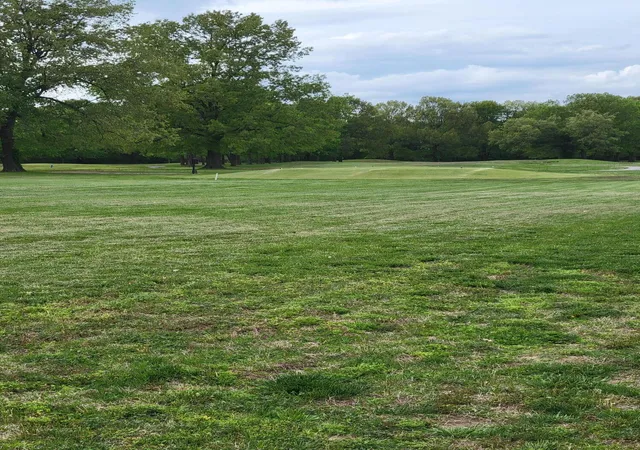 Photo 2 of Land for sale at Lot 11 Doral Ct, Ledbetter, KY 42058 | MLS# 26023818 | Listing updated on 2026-08-31