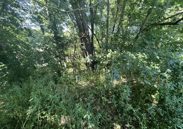Photo 3 of Sale Pending at 0 Stevens Rd, Flemingsburg, KY 41041 | MLS# 26020595 | Listing updated on 2026-08-05
