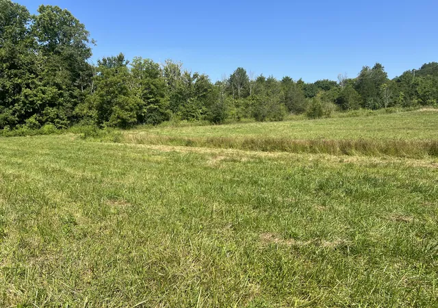 Photo 4 of Sale Pending at 0 Stevens Rd, Flemingsburg, KY 41041 | MLS# 26020595 | Listing updated on 2026-08-05
