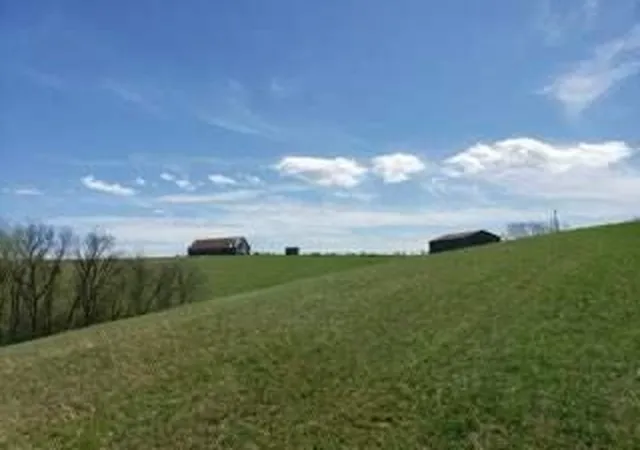Land for sale at 317 Cane Run Rd, Carlisle, KY 40311 | MLS# 26020613