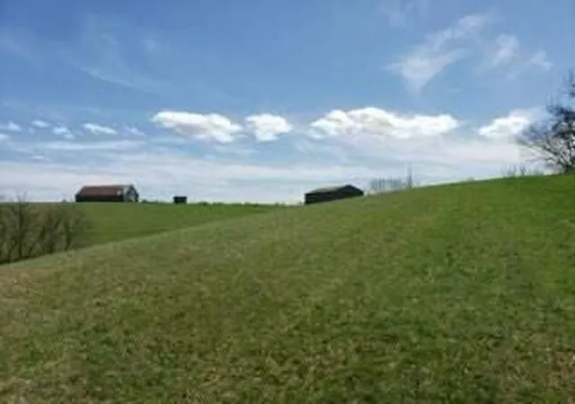 Photo 3 of Land for sale at 317 Cane Run Rd, Carlisle, KY 40311 | MLS# 26020613 | Listing updated on 2026-08-07