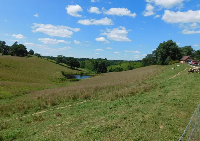 Photo 2 of Sale Pending at 390 Meeting House Branch Rd, Ezel, KY 41425 | MLS# 26020641 | Listing updated on 2026-08-23