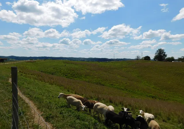 Photo 4 of Sale Pending at 390 Meeting House Branch Rd, Ezel, KY 41425 | MLS# 26020641 | Listing updated on 2026-08-23