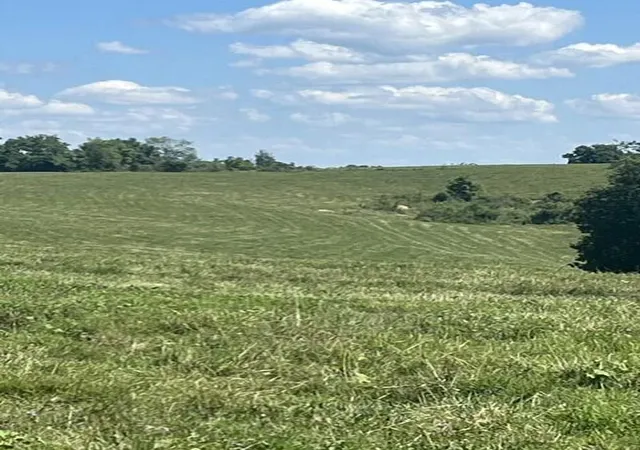 Land for sale at 1699 Gillispie Rd, Carlisle, KY 40311 | MLS# 26020676