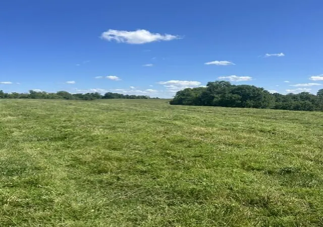 Photo 3 of Land for sale at 1699 Gillispie Rd, Carlisle, KY 40311 | MLS# 26020676 | Listing updated on 2026-08-10