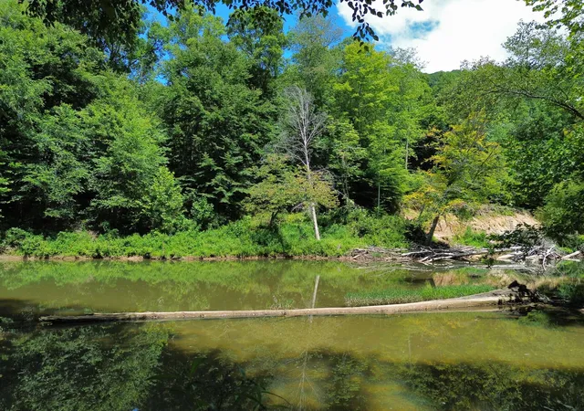 Photo 3 of Sale Pending at 139 Kilbreth Ln, Garrison, KY 41141 | MLS# 26020720 | Listing updated on 2026-09-08