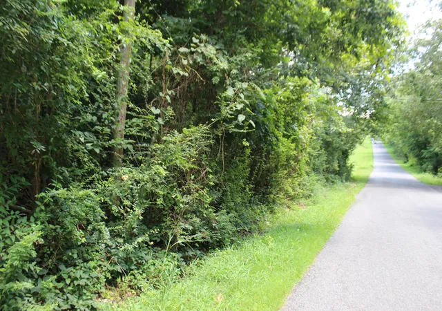 Photo 2 of Land for sale at 000 E 21st Street, Benton, KY 42025 | MLS# 26020791 | Listing updated on 2026-08-03