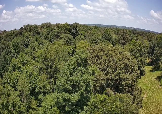Photo 3 of Land for sale at 000 E 21st Street, Benton, KY 42025 | MLS# 26020791 | Listing updated on 2026-08-03