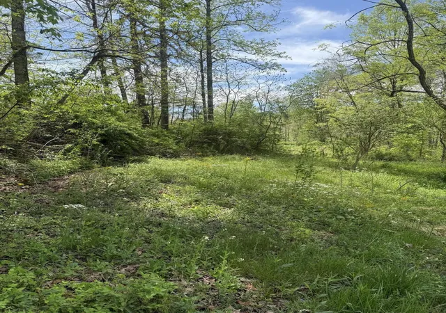 Photo 1 of Land for sale at 1325 State Hwy 1036, Zoe, KY 41397 | MLS# 26020925 | Listing updated on 2026-09-10