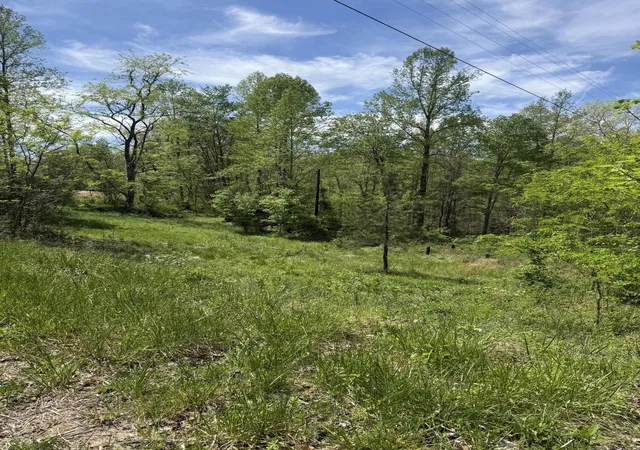 Photo 2 of Land for sale at 1325 State Hwy 1036, Zoe, KY 41397 | MLS# 26020925 | Listing updated on 2026-09-10