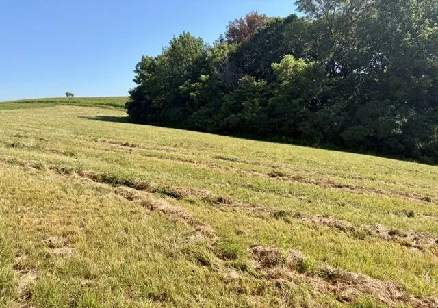 Photo 3 of Land for sale at Lot 24 C & Lot 24d Emerald Ln, Campbellsville, KY 42718 | MLS# 26020911 | Listing updated on 2026-10-13