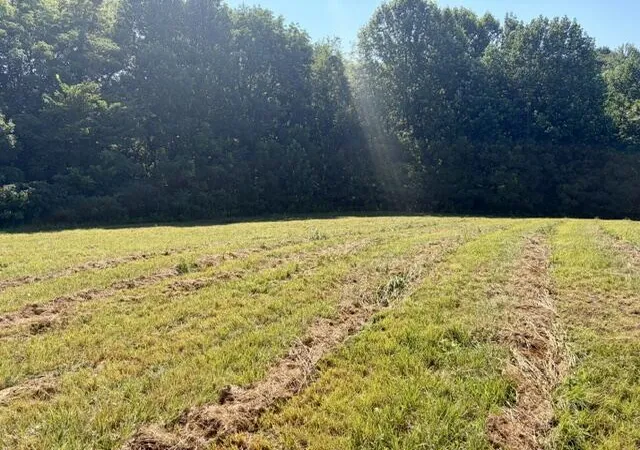 Photo 4 of Land for sale at Lot 24 C & Lot 24d Emerald Ln, Campbellsville, KY 42718 | MLS# 26020911 | Listing updated on 2026-10-13